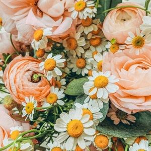 Meet your Posher, Maggie